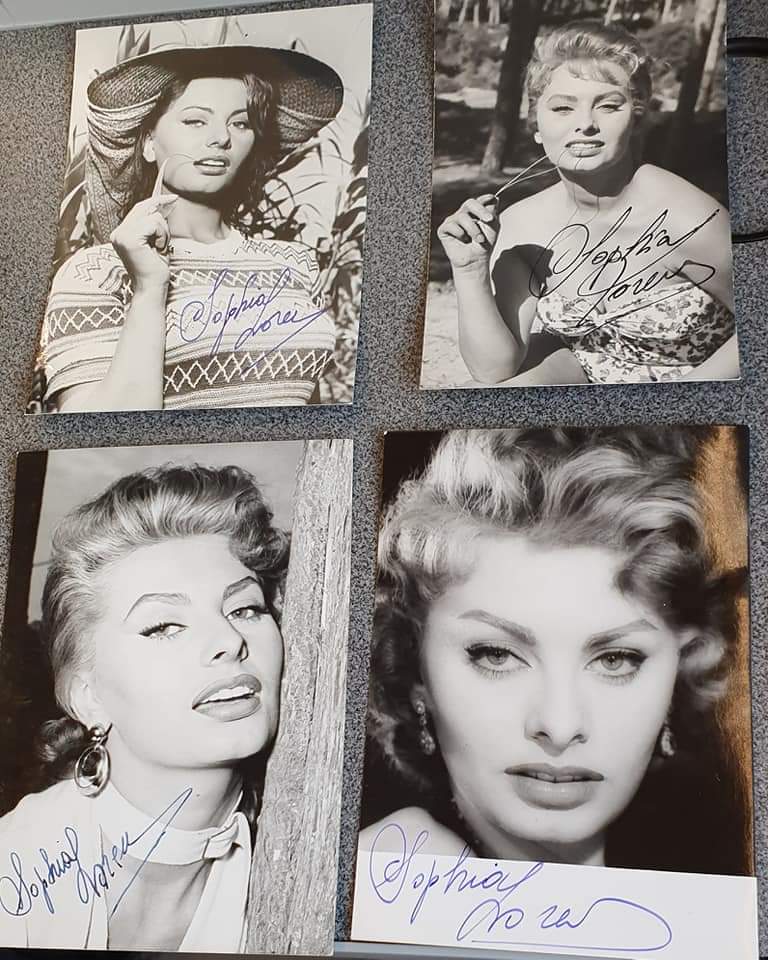 Sophia Loren